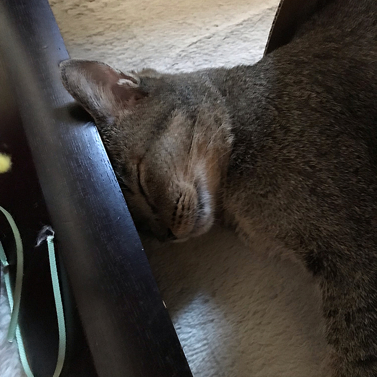 寝落ち〜🥰