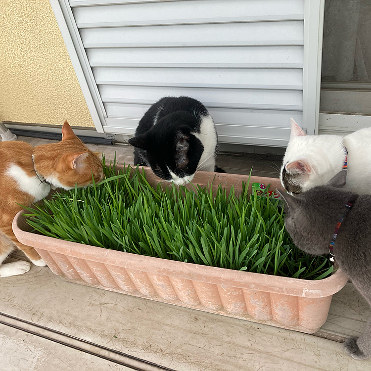 みんな元気です♪
