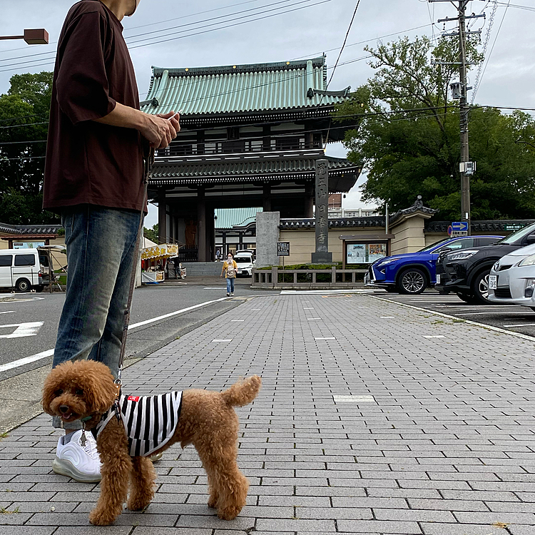 土曜日
6時過ぎの朝んぽは寒いくらいでした🐾