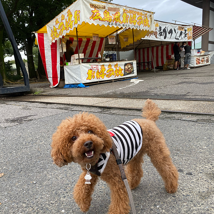お寺まで歩いたら参道でお店の準備をしている人がチラホラ👀
毎月21日の縁日だ❣️
でも縁日の開始（9時頃⁈）までには時間があり過ぎて残念ながら帰宅しました😔
