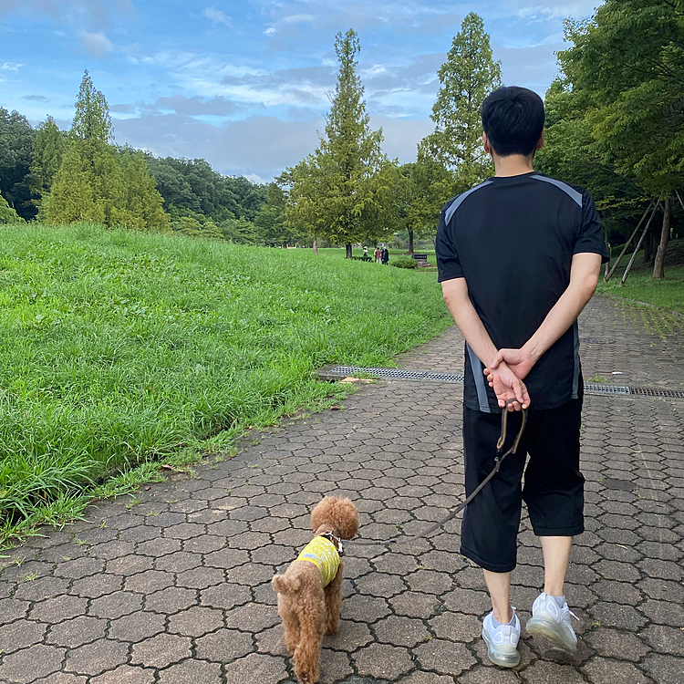 涼しくて有り難いです☺️