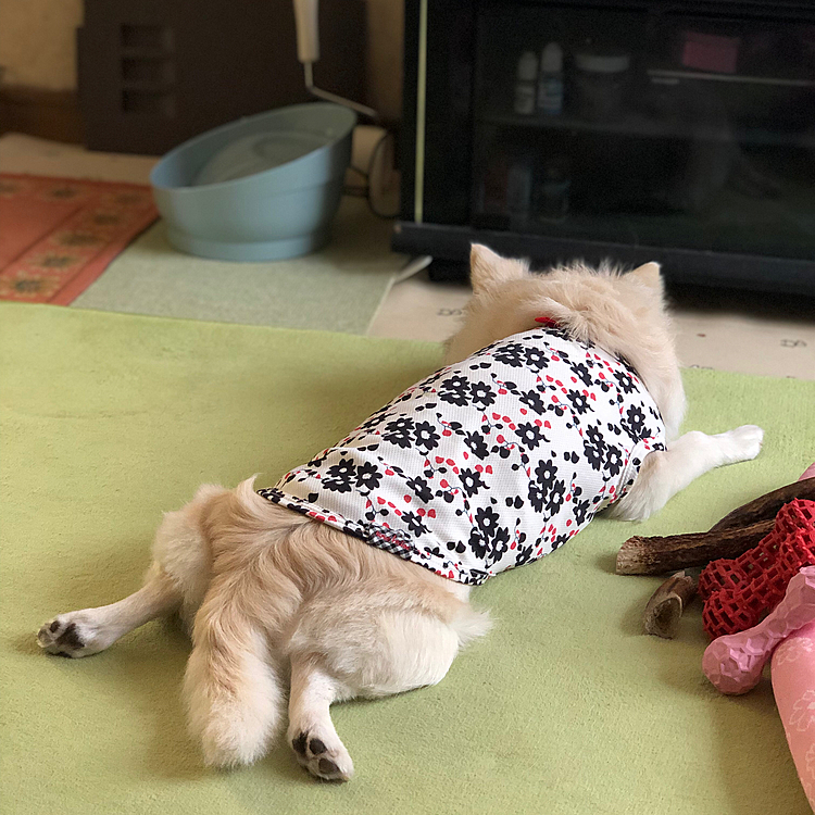 小雪の後脚も負けてないけどね〜🤣