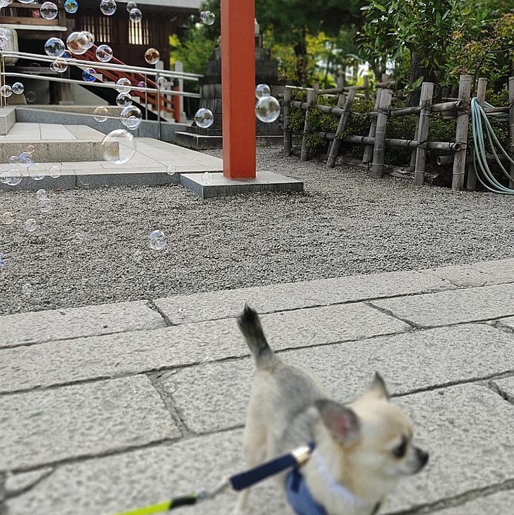 被写体がだいぶずれてます😆