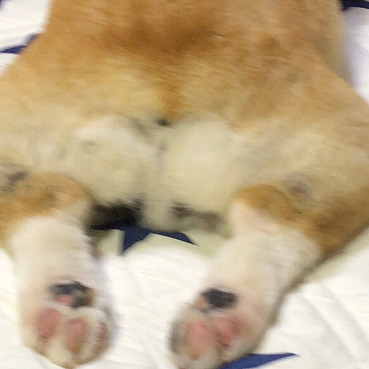 ジャジャーン😃
おはようございます😃
オチリから失礼します😃
昨日、気付きましたぞ😃
な、な、な、なーい🤣
あのツムジがなくなってるぅ🤣