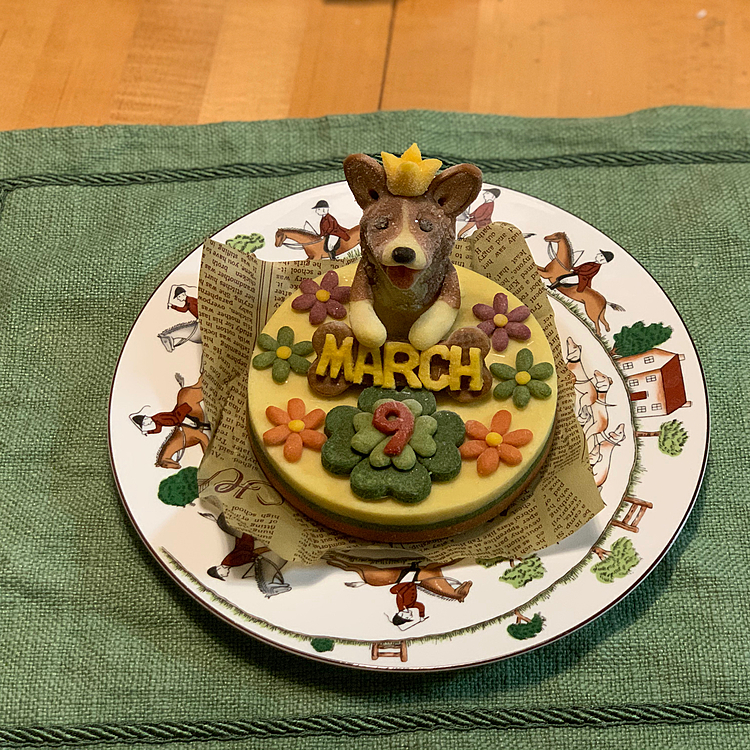 ケーキは例年通りロビナさんにお願いしました💓今年のケーキもかわいい😍
いっぺんに食べるとお腹を壊すので少しずつ小分けして食べます☺️