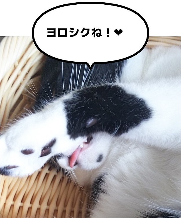 ソラミの投稿