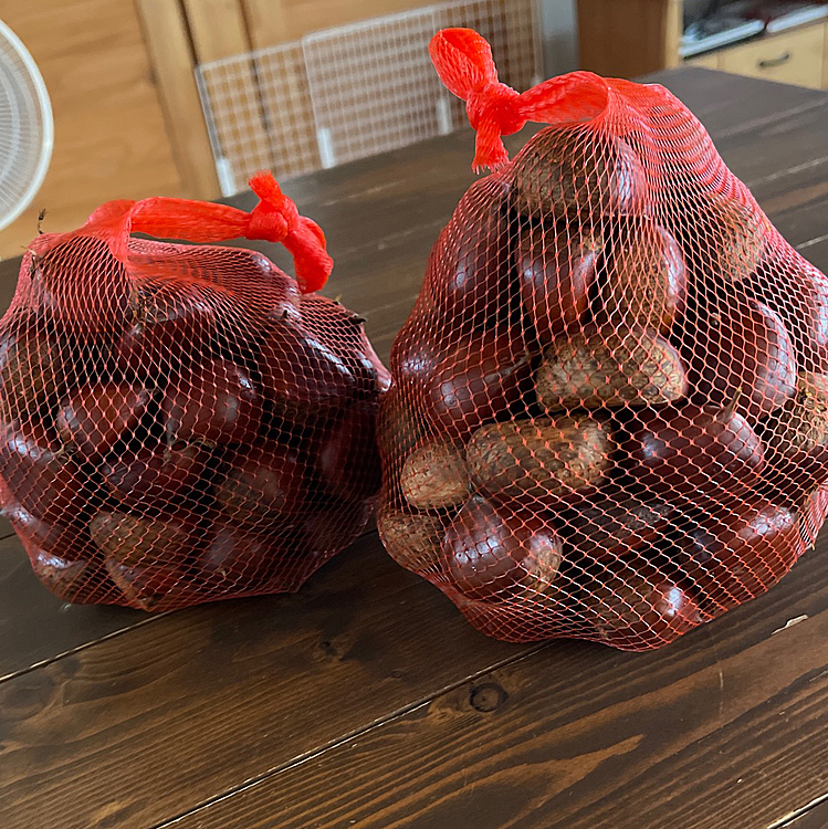 おいしい栗です🌰
まだまだ暑いですが、季節は進んでいますね😊