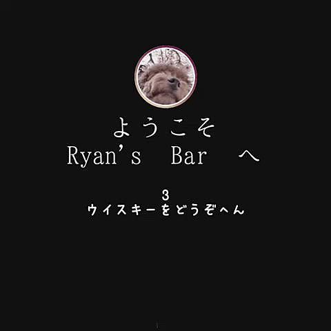 さて、メジャーに入ったウイスキーをグラスに注ぐ儀式‼️セレモニー‼️です。
チャッチャと成功です🤣さすがですライアンバーテンダー✨初心者ながらにまあまあの腕前を見せました😆

お酒を作りながら他愛もない話も上手くはさみつつ…
お客さんに遠回し(？真近？)におねだりしているようです😓😓😓