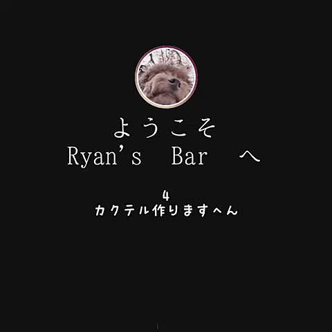 お客さんに(なかば強引におねだりして)
１杯すすめられて、なんとシェーカー振ってます‼️
お、お高いんじゃぁぁ・・・
大丈夫、大丈夫、ペットスエットですから😄
じゃぼぼ〜🍸
と、客には「角」を飲ませ、自分はショートカクテルを飲むというふとどきワンコバーテンダーでした。