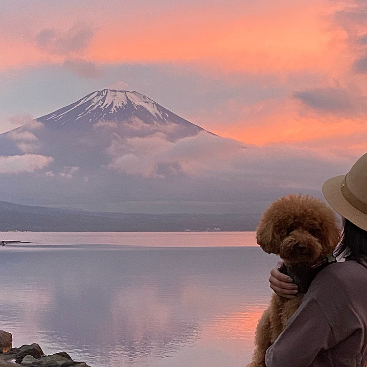 不測の事態が無いに越した事はありませんが、事前に調べておくと良いですね🍀

ちなみに先月4.78キロだったのが昨日病院で4.6キロになっていました👍
たっぷり💩した後だったからかな😅