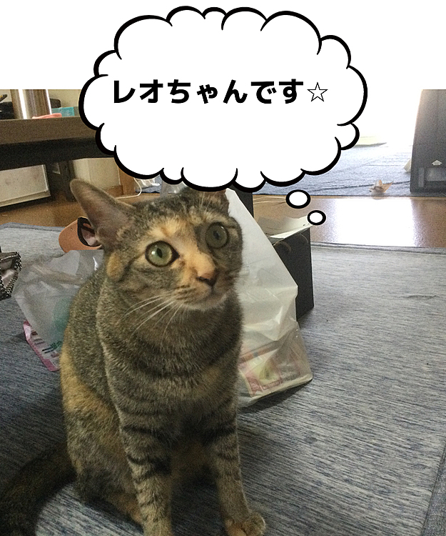 オーナー2893の投稿