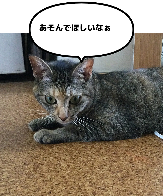 オーナー2893の投稿