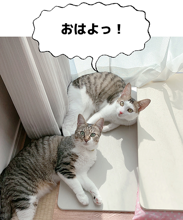 朝のご挨拶😄