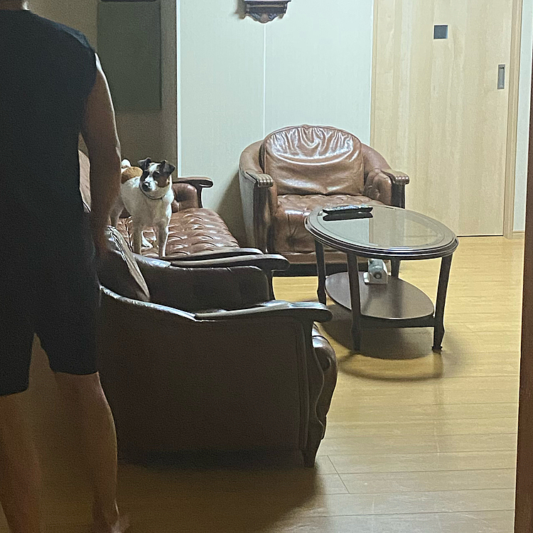 何処の部屋で、遊ぼうか？