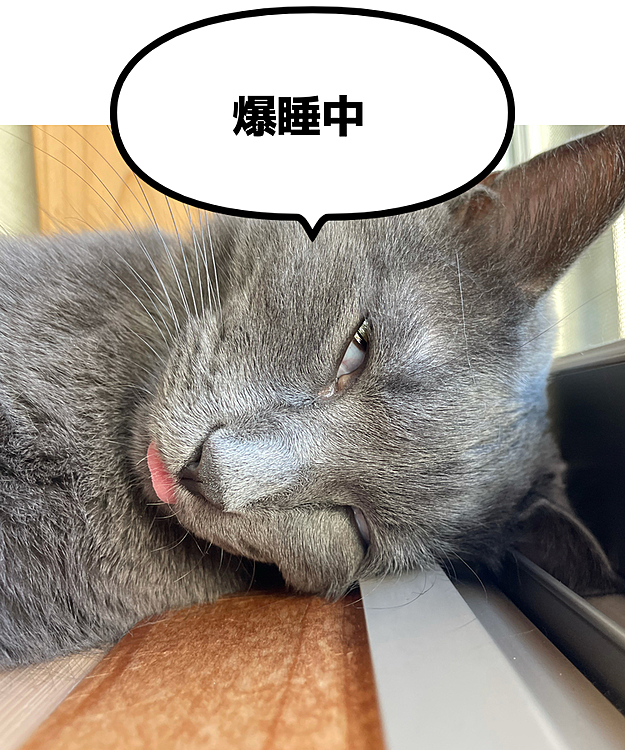 不細工すぎる寝顔です。
1周まわって可愛い♡