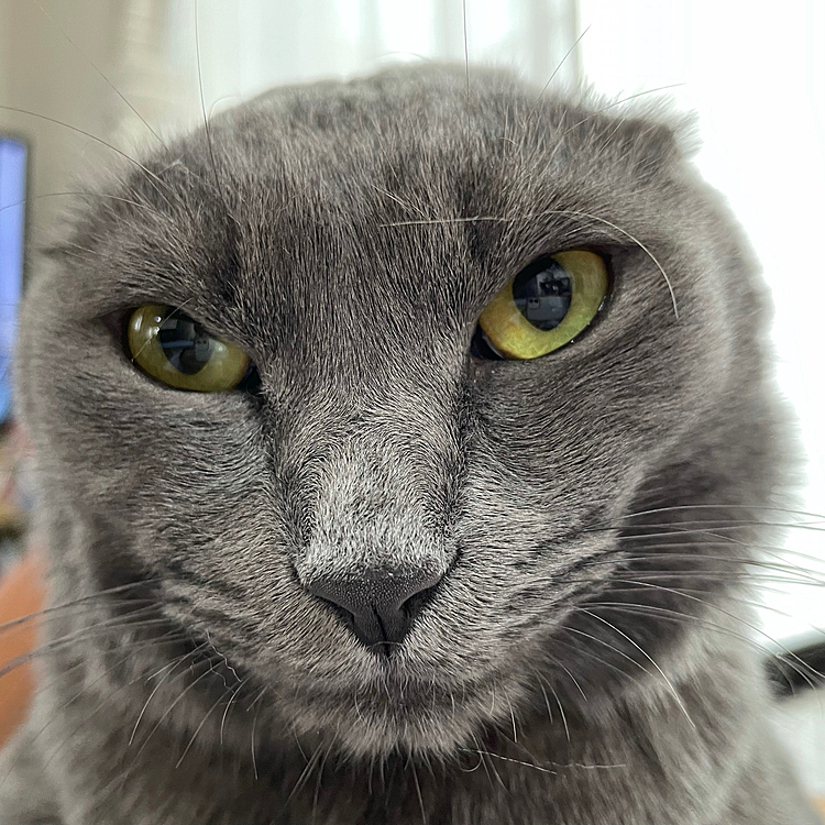 耳消えました。