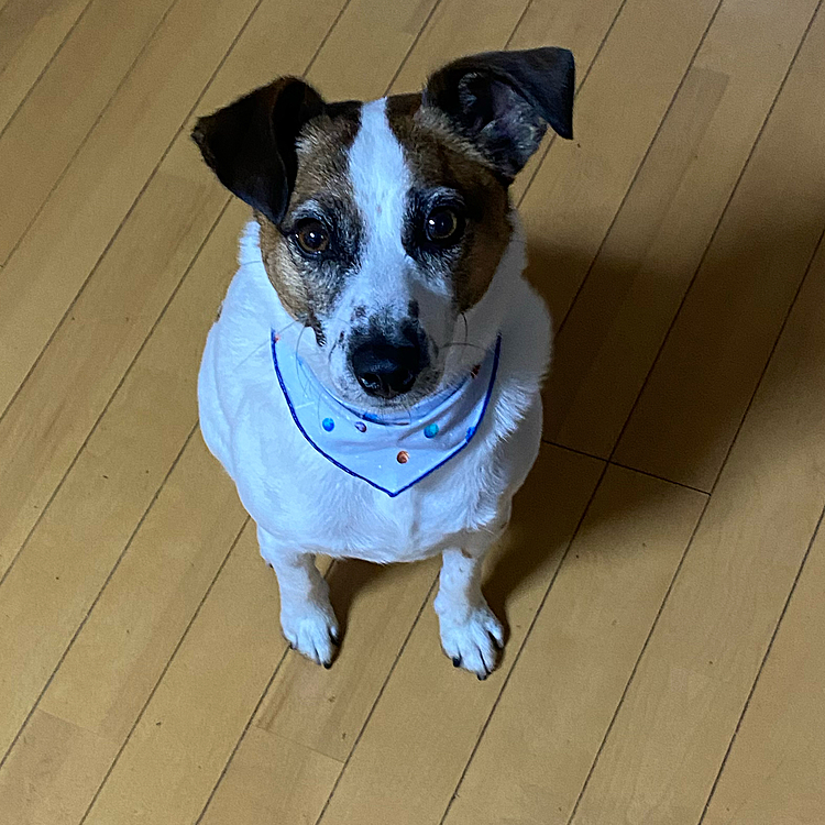 なんか、頂戴❣️
