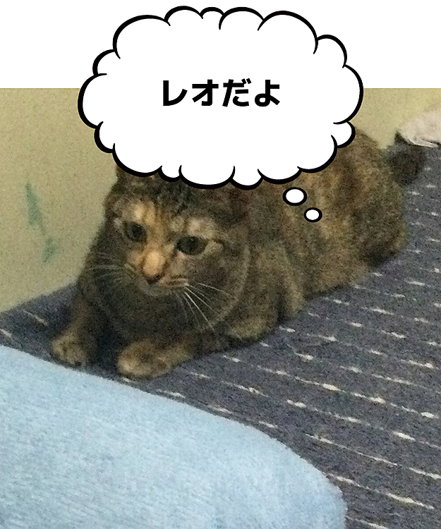 オーナー2893の投稿
