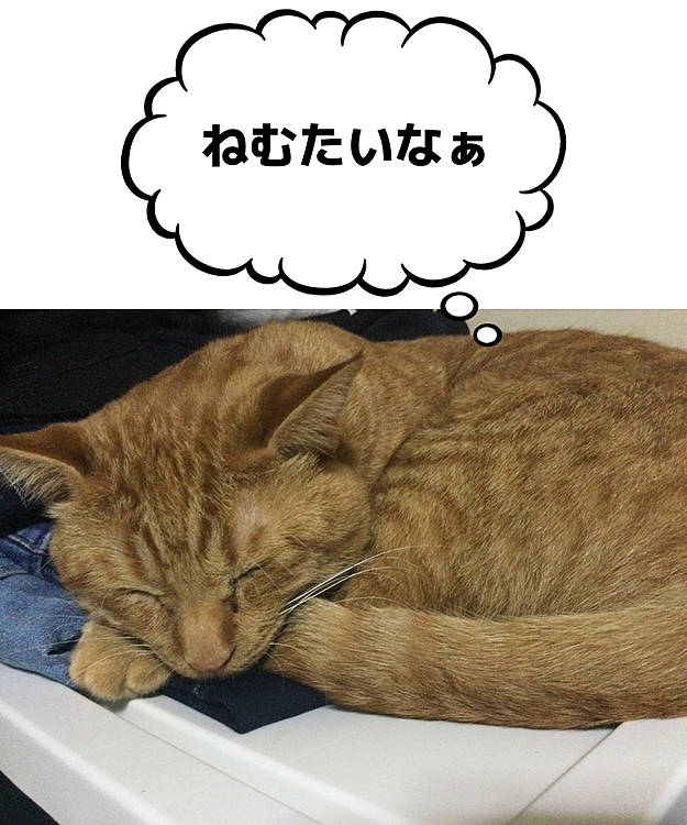 オーナー2893の投稿