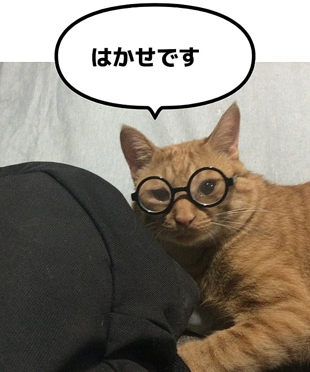 オーナー2893の投稿