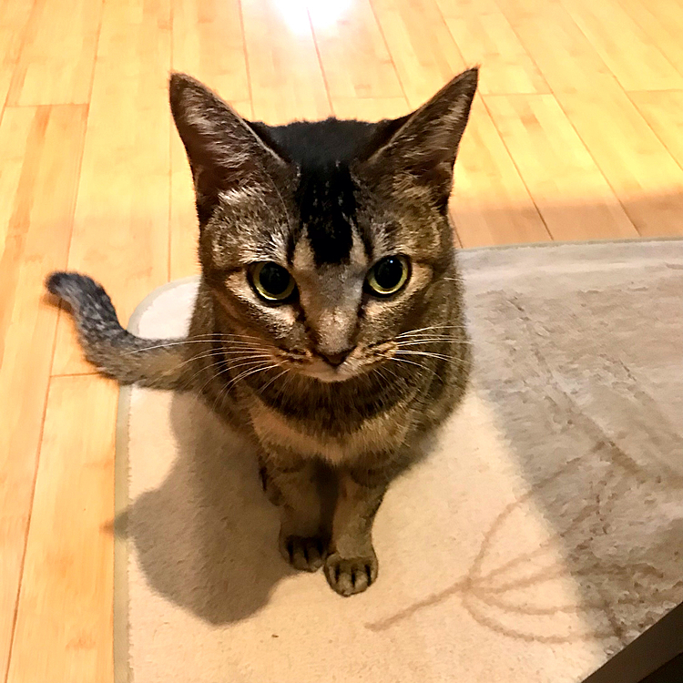今日もカワカワ〜🥰※かわいいの略
と旦那は絶賛溺愛中！