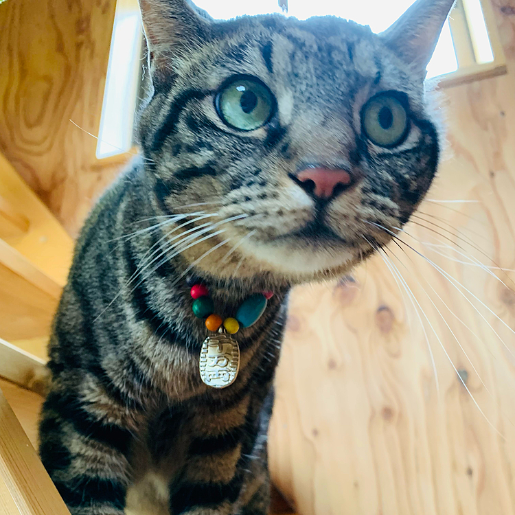 おはよー♪(=^x^=)