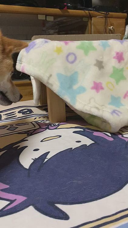 今日も遊べなかった。(´・_・`)
(💢⊙౪⊙)۶チクショォォォォォォォォォォォォォォォォォォォォ
