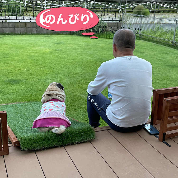 とうちゃんお休み😊
夕方、発泡酒片手にノンビリです🍺