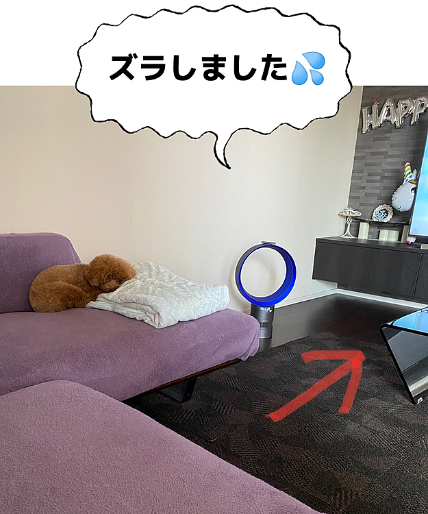 しかし私達はオリンピックの卓球の試合に夢中でTVに注目していたので『ゴーン』と言う音で頭をぶつけたんだとすぐに気付ました😞
2、3歩フラフラと歩いていたので抱きしめて落ち着かせたらすぐに元に戻りましたが速攻テーブルの位置を変えました☺️
ハッピーはすぐに興奮するタイプなのでまだまだ注意が必要です⚠️