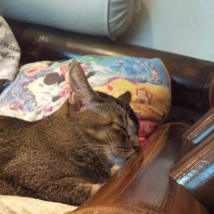 ソファーにチュウしてる😙