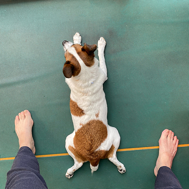 物干場にて‼️