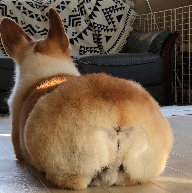 ドッカーン❤️🍑
パン焼けたよ🍞
こんがりと🍞
予約受け付けます🤣🤣🤣
いいケツしてるねー🍑♥️