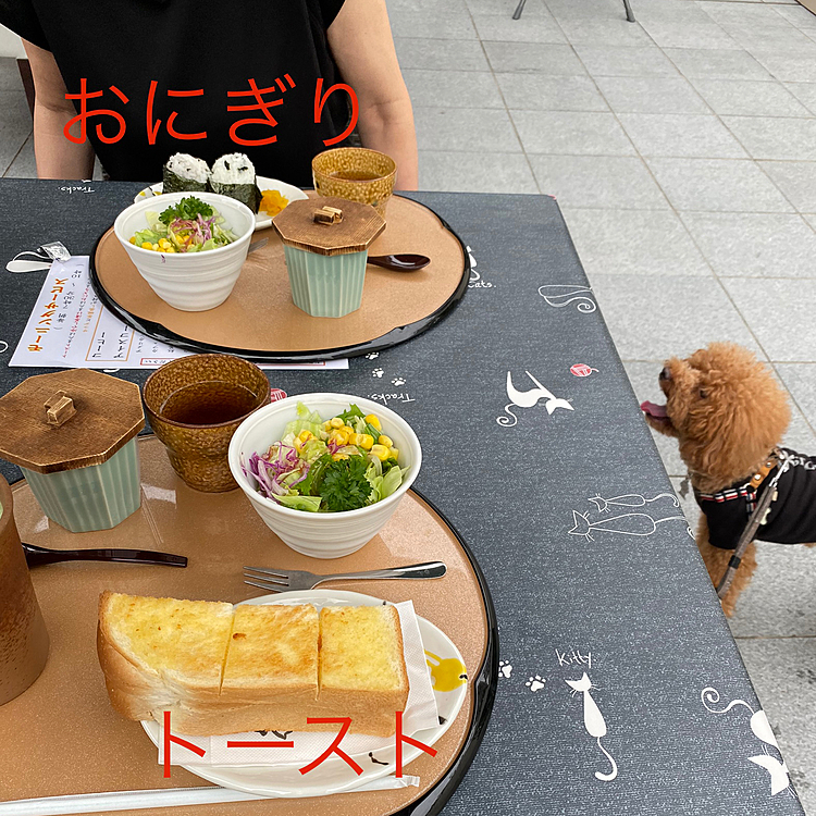 今日は母も一緒、まずはモーニングに行きました🚗
以前も説明しましたが、ドリンク代だけででサラダ、茶碗蒸しと好きな物1つ選べます😋