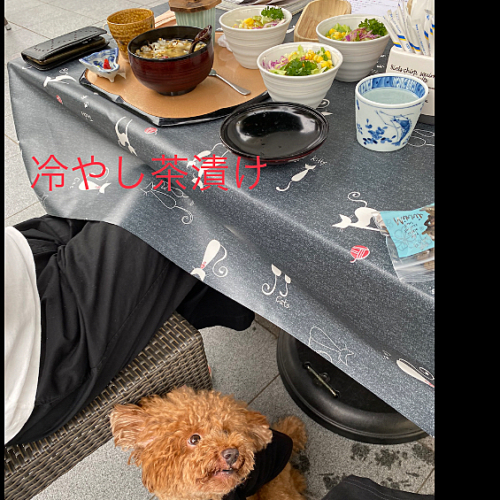 私はトースト🍞母はおにぎり🍙パパさんは冷やし茶漬けと3人分のサラダ🥗
野菜高すぎて最近は生野菜買えていないの💦