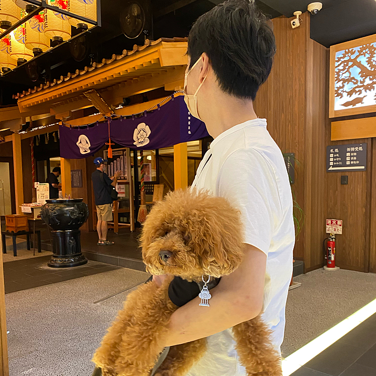 祖父母はお墓では無くて納骨堂です。
33年は個々の場所に納骨されその後は合同で祀られるので墓じまいなどの必要が無いシステムです♪