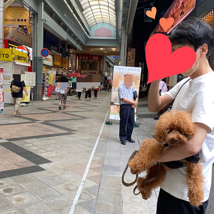 場所も商店街の中の賑やかな場所にあり、子供の頃から縁日などよく行った馴染みの場所なので祖父母も喜んでいると思います☺️
ハッピーは入れないので交代でお参りしました🐶
