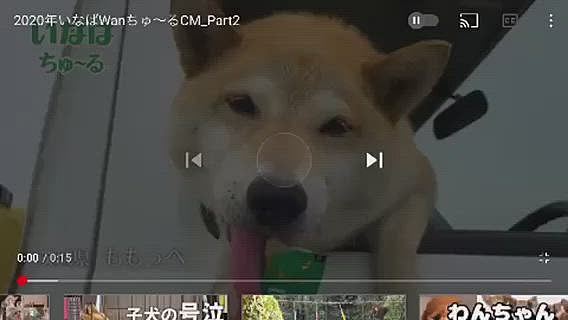 そして昨日の投稿で報告したわんちゆーるCMハッピーバージョンです🎶
YouTubeで見て頂いたり、上手く検索や保存が出来ない機械音痴の私に色々親切に教えて頂き感謝致します😊