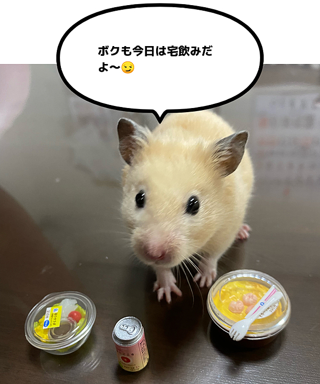 ハムぞう、今日は宅飲みです😅
グラタンとサラダも食べて…ちょっと贅沢
実は猫の雑誌もあります😂