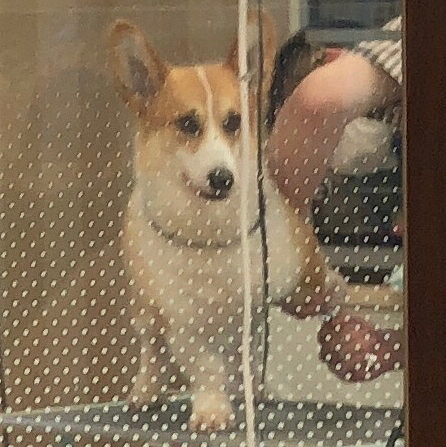 今日もお兄さん🌀
でも、頑張る😃