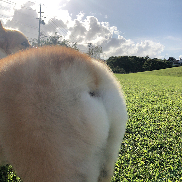 そびえ立つオケツ🍑