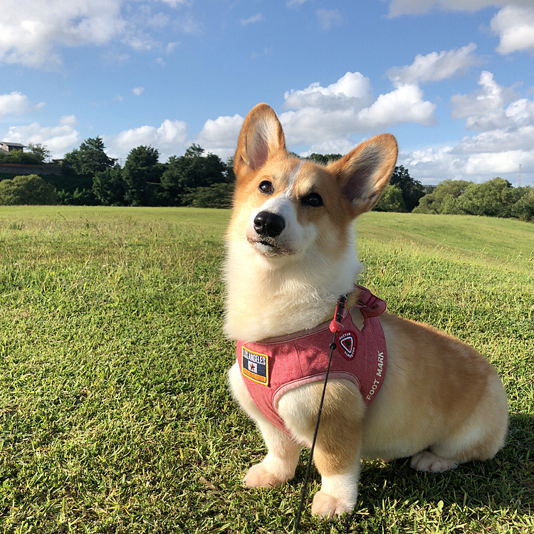 ドヤ顔まある🤣
インスタと写真異なっております😃