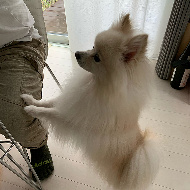 ねーねー
なに食べてるの？
ぼくちんにもちょうだい〜