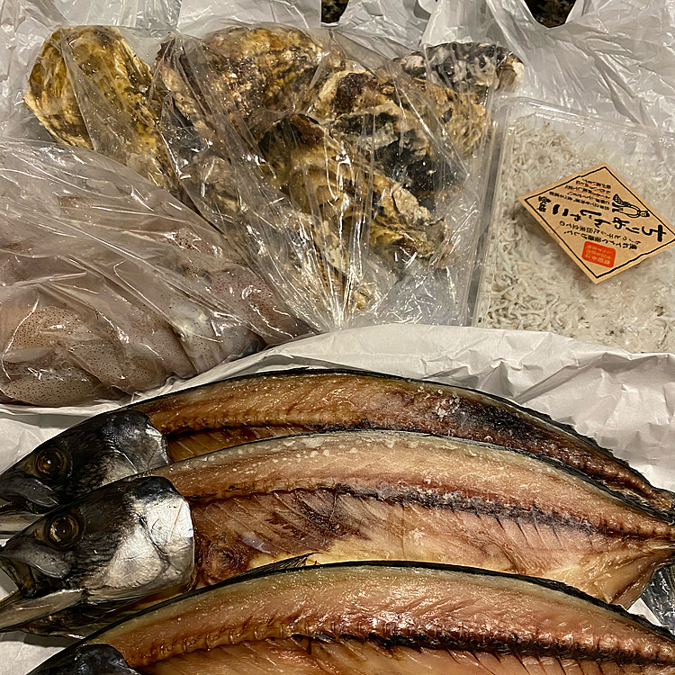 海鮮市場でトロサバの干物としらす、牡蠣、小イカなどを買い夜に食べました🐚🦑