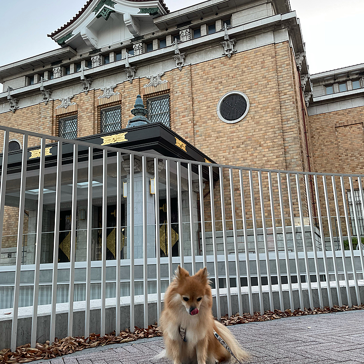 ここは近くの京セラ美術館。
佇まいが綺麗な建物です😃