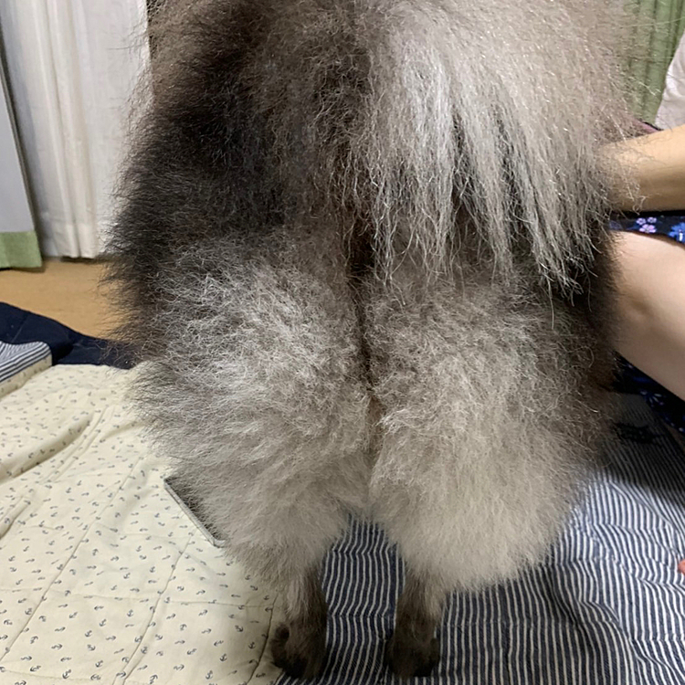 かわいーオチり🍑も復活ですよ(*´ω｀*)
