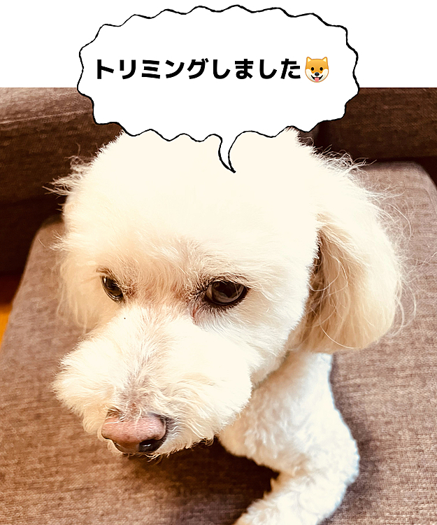 はるぺこチャンネルの投稿
