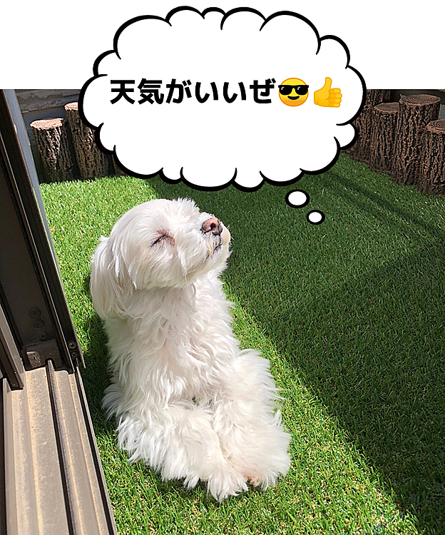 ねぇやんの投稿