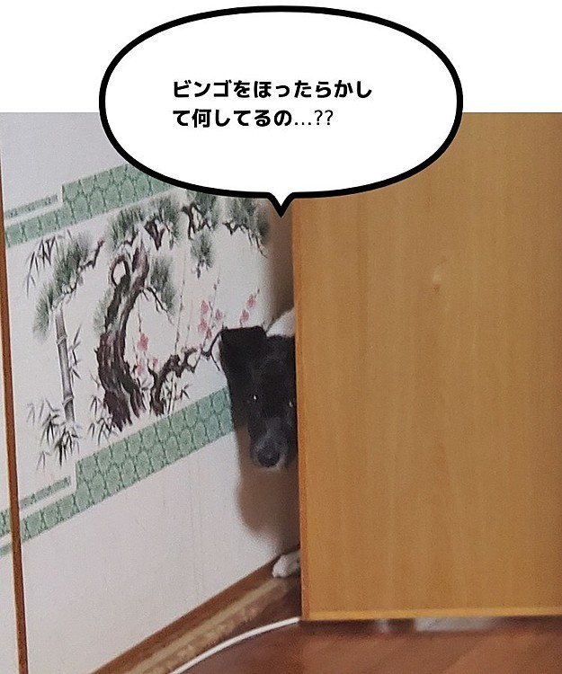 家庭内ストーカー…( ´･ω･`)