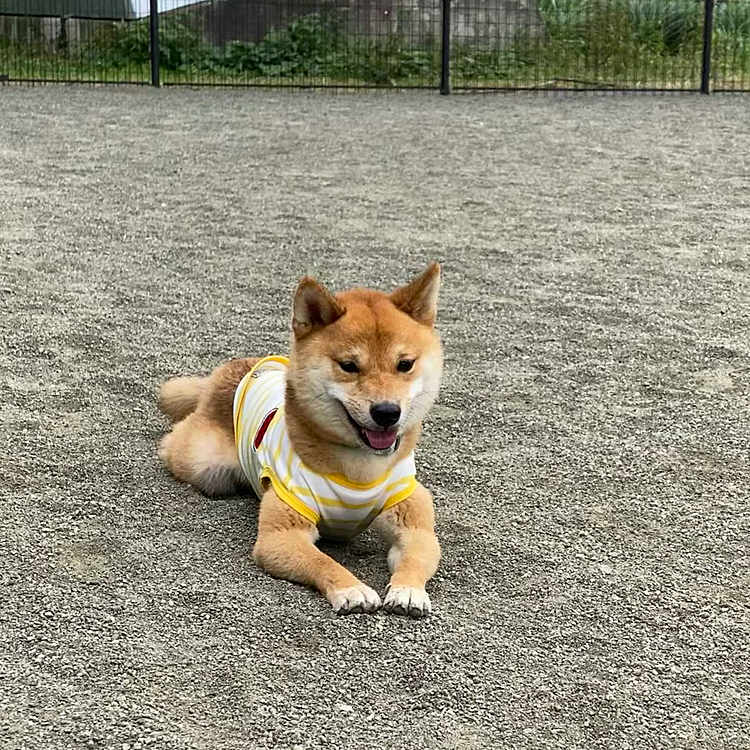 台風が来る前にたっぷり遊べてよかったです☺️