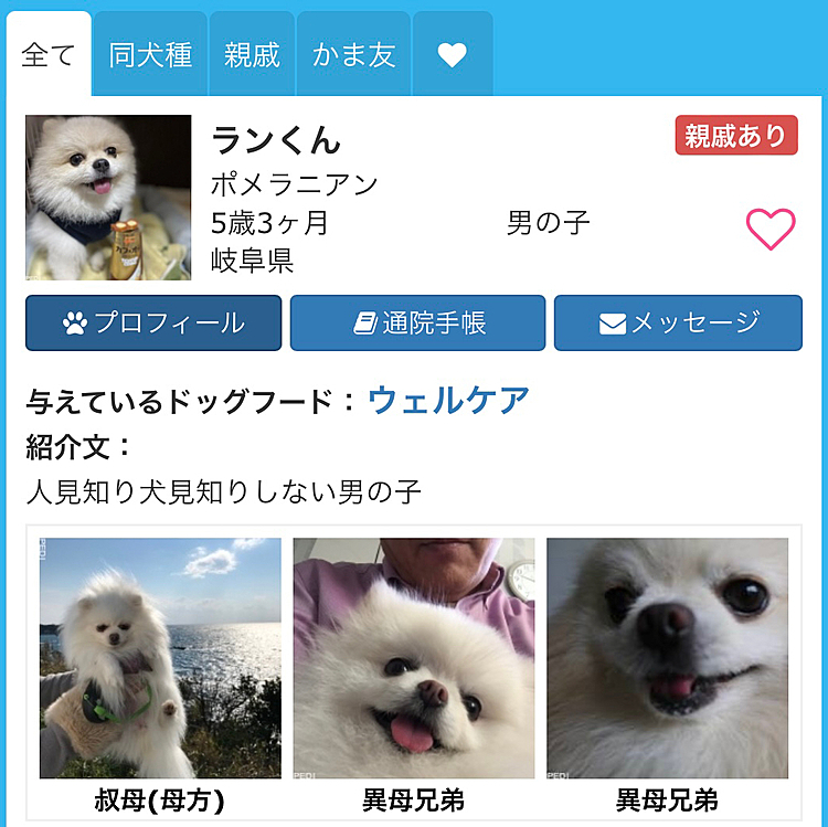 PEDIというサイトで登録したら、
親戚が3頭登録してた。😄
東京、奈良、岐阜。
似てるなァ。